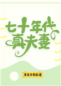 七十年代真夫妻小说简介